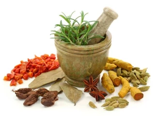 Ayurvedic Franchise Company in Gujarat