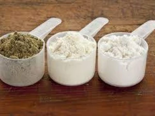 Ayurvedic Protein Powder Manufacturers