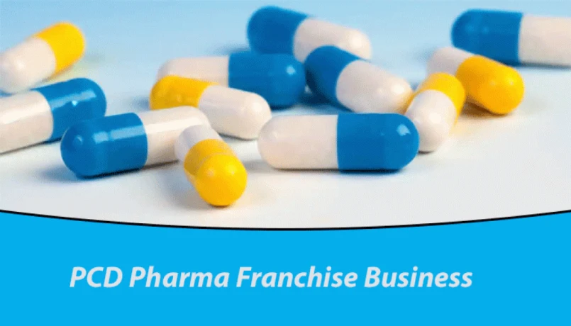 PG Based Pharma Company in Ambala 1