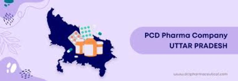 Top 10 Pcd franchise company in Uttar Pradesh 1