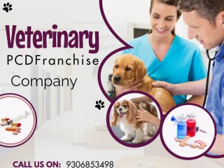 PCD PHARMA FRANCHISE IN SICLHAR