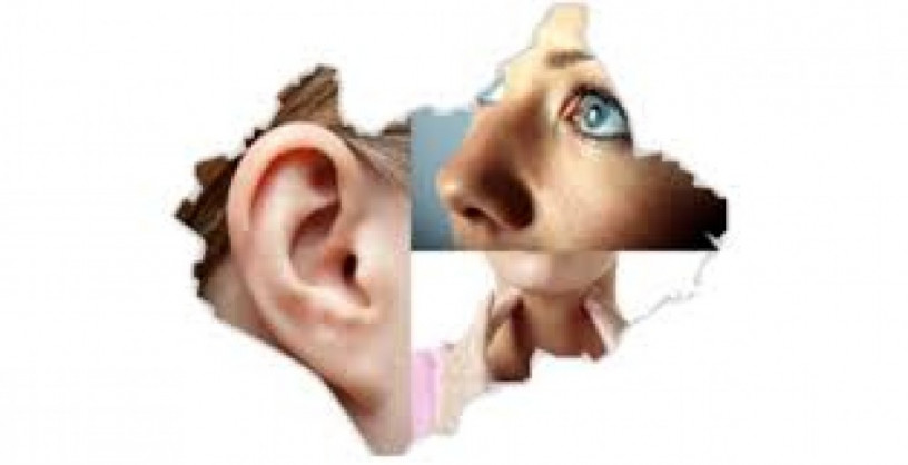 Pharma Franchise Ear and Eye Range 1