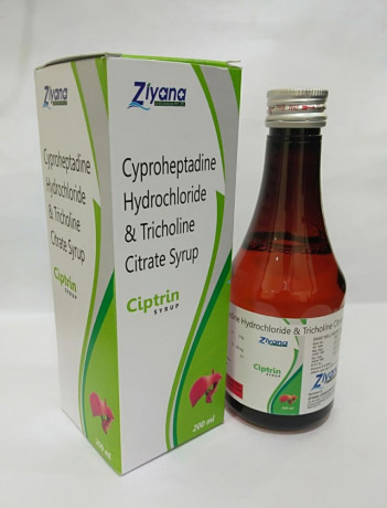 Pharmaceutical Syrups And Dry Syrups 4