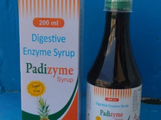 Enzyme syrup