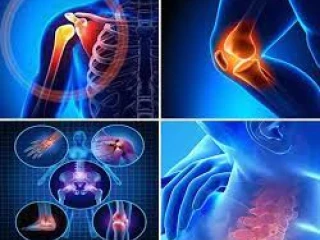 Orthopedics Pharma Franchise Company