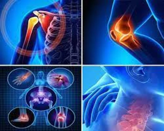 Orthopedics Pharma Franchise Company 1