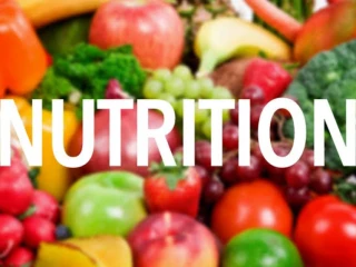 Nutraceutical Products Manufacturers in Haryana