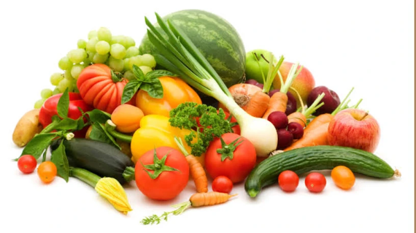 Nutraceutical Products Manufacturers 1