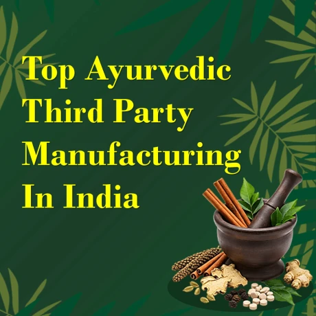 TOP AYURVEDIC MEDICINE COMPANY IN CHANDIGARH 1