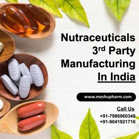 TOP NUTRACEUTICALS MANUFACTURING IN INDIA 1