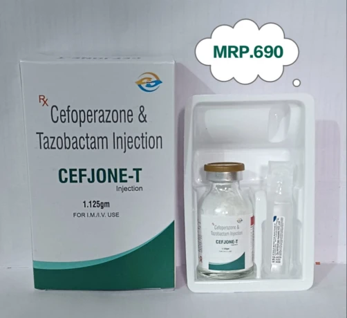 Cefoperazone Sulbactam Injections 1