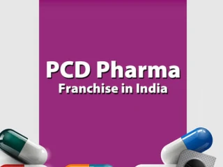 Top PCD Franchise Company