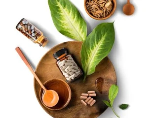Nutraceutical Products Manufacturers