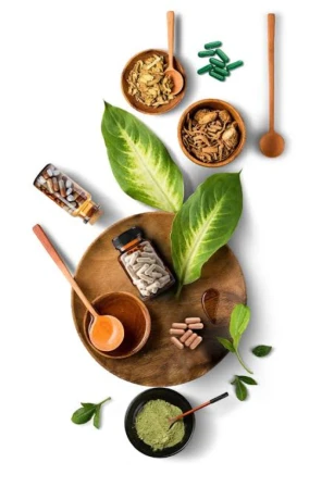 Nutraceutical Products Manufacturers 1