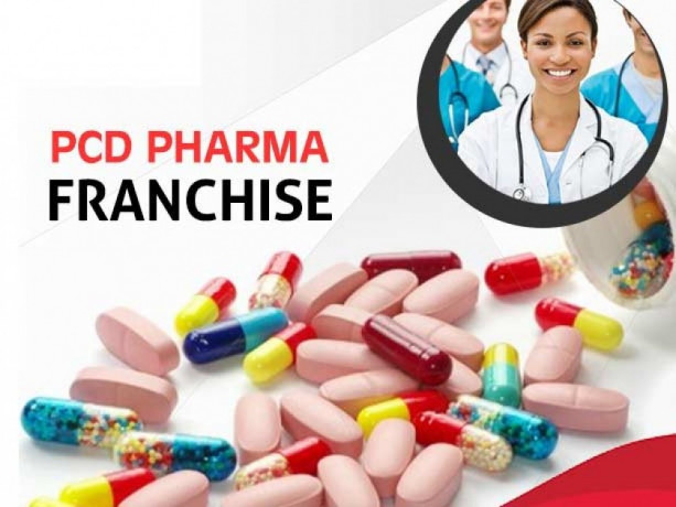 Pharma Franchise Company 1