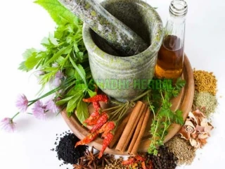 Ayurvedic PCD Pharma Franchise Companies