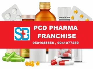 PCD PHARMA FRANCHISE IN SATNA