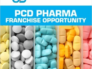 PCD PHARMA FRANCHISE IN KANGRA - GAGGAL