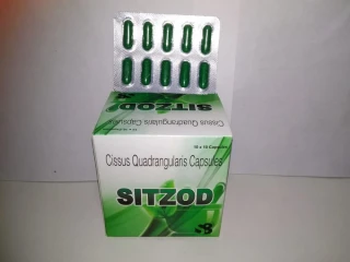 Cissus quadrangularis 500MG