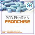 Para + Cetirizine + Phenylephrine Hydro + Menthol (FOR KIDS) 3