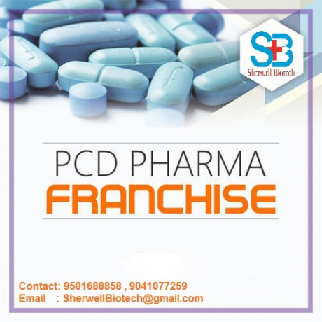 Para + Cetirizine + Phenylephrine Hydro + Menthol (FOR KIDS) 3