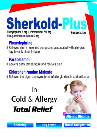 Para + Cetirizine + Phenylephrine Hydro + Menthol (FOR KIDS) 2