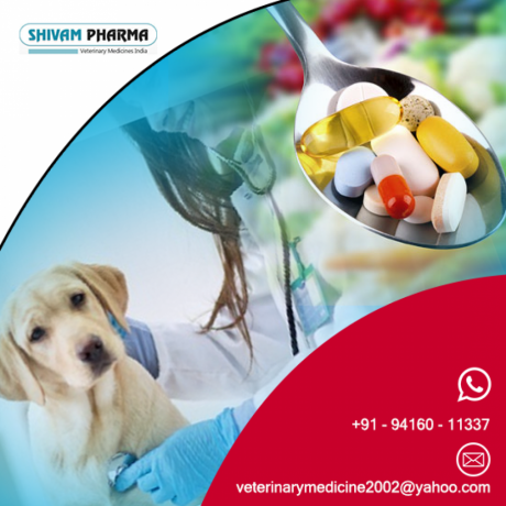 Veterinary PCD Pharma Franchise in Lucknow 1