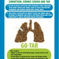 GoTar - Ayurvedic Medicine for Lungs Detox and Strengthening 3