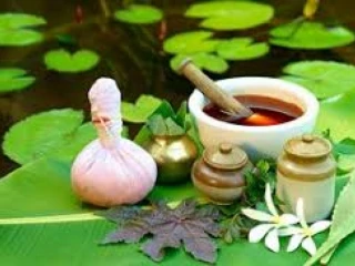 Ayurvedic PCD Pharma Franchise