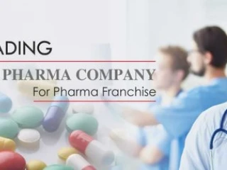 Pharma Franchise In Andhra Pradesh
