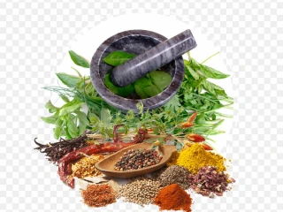 Ayurvedic PCD Company in Chandigarh