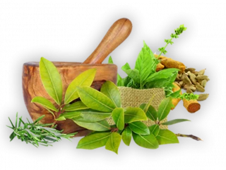 Ayurvedic Franchise