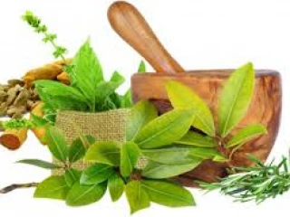 Best Ayurvedic Franchise Company