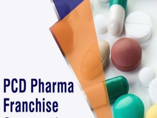 Top PCD Pharma Company