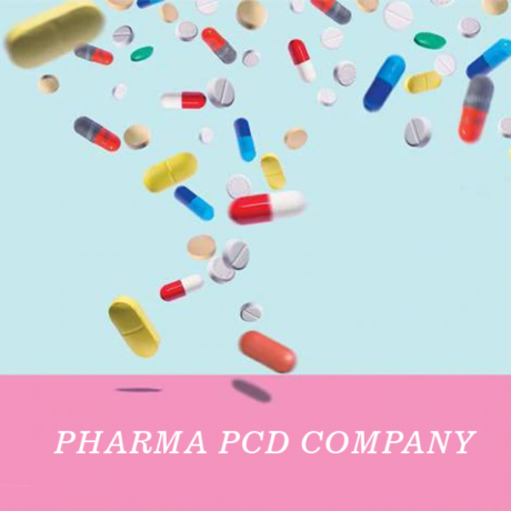 Chandigarh Based PCD Pharma Company. 1