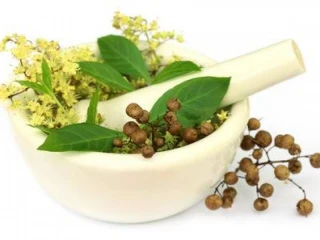 Ayurvedic Franchise