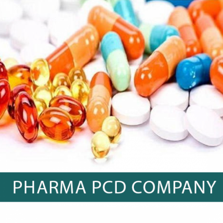 Karnal Based PCD Pharma Company 1