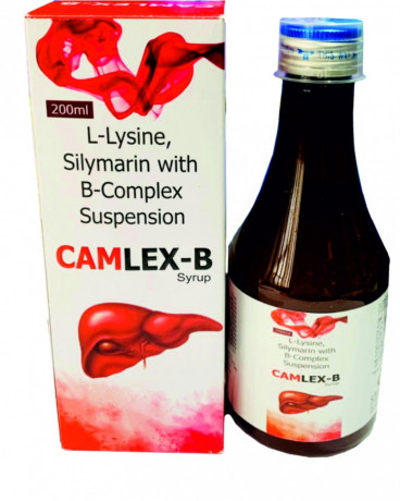 CAMLEX - B 1