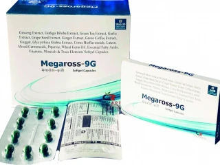 MEGAROSS-9G