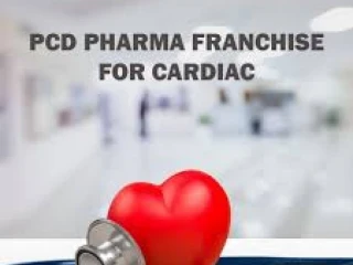Cardiac Diabetic Pharma Franchise
