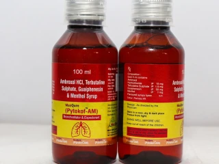 AMBROXOL HYDROCHLORIDE 15MG +TERBUTALINE SULPHATE 1.5 MG + GUAIPHENESIN 50 MG+ MENTHOL 1 MG SYRUP