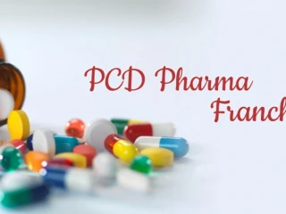 Best pharma Pcd company in Mumbai