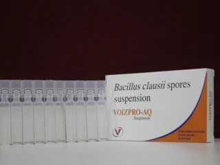 BACILLUS CLAUSII SPORES