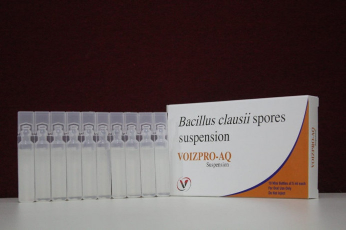 BACILLUS CLAUSII SPORES 1