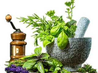 Ayurvedic Third Party Manufacturing Company in Panchkula