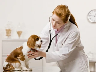 Veterinary Products Manufacturing Company