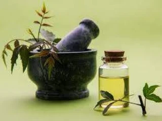 Ayurvedic Pain Oil Manufacturing Company