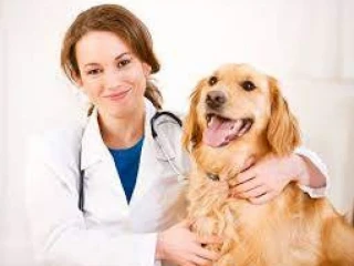 Veterinary Products Manufacturing Company