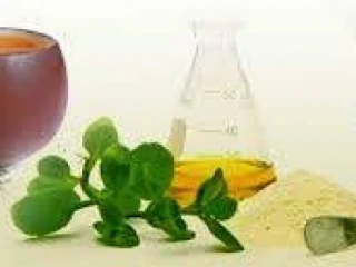 Ayurvedic Cosmetic Products Manufacturers