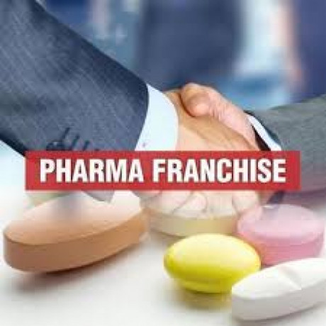 Pharma Franchise Company 1